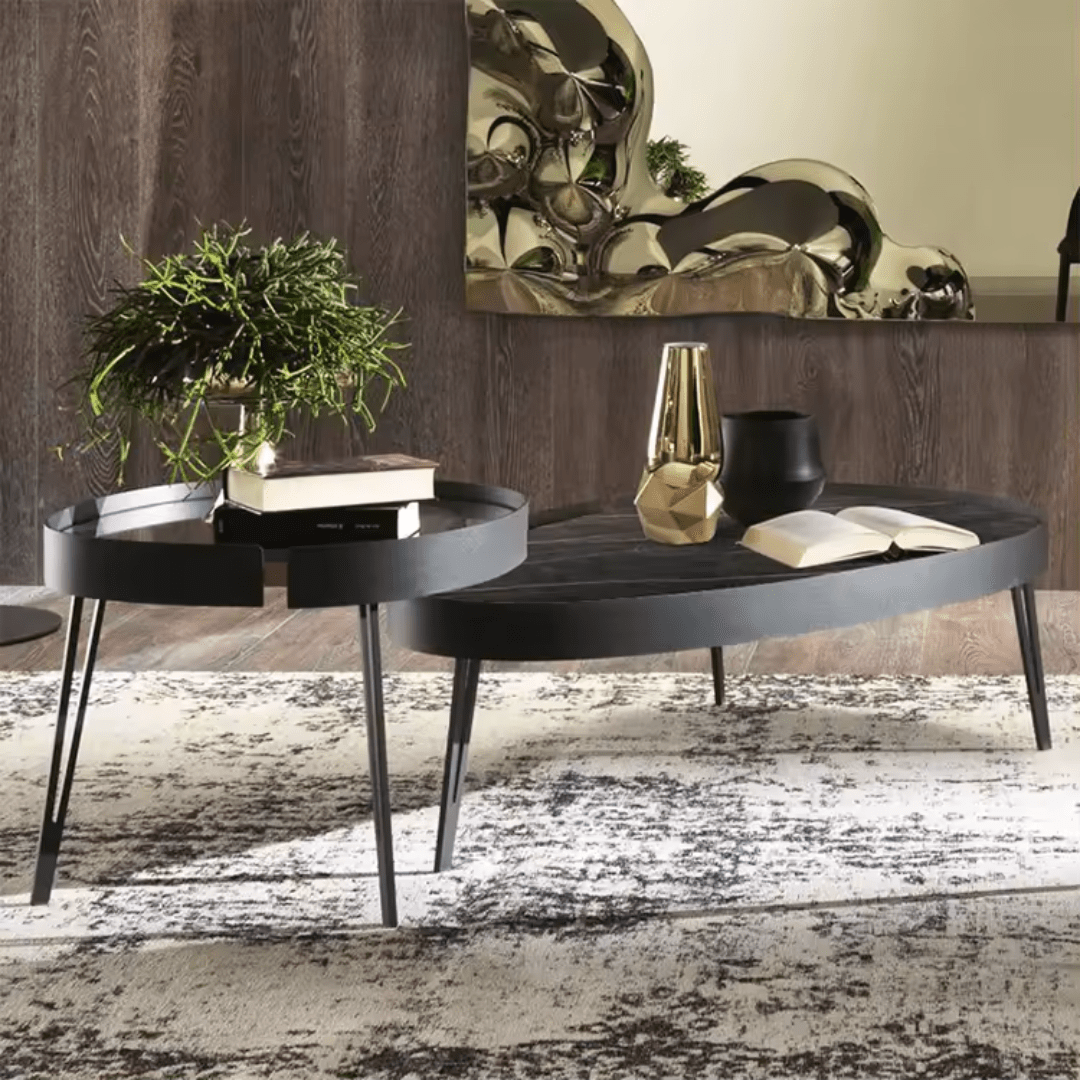 Amorphus Echo Coffee Table (Set of 2)