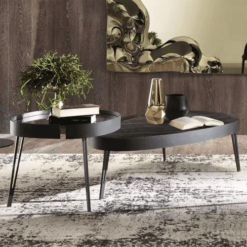 Amorphus Echo Coffee Table (Set of 2)