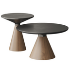 Eve Coffee Tables (Set of 2)
