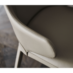 Regal Ruby Dining Chair