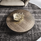 Twin Circles Coffee Table